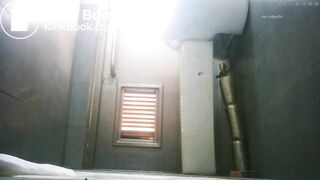 porn - chinese Park Toilet