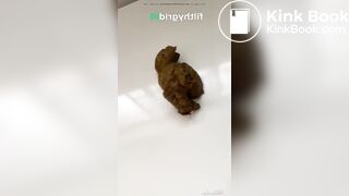 Hot girl shitting on plate - video 7