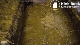 Manure Quality Expert - falling in cowshit and orgasm