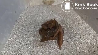 Cute cosplay and shit..