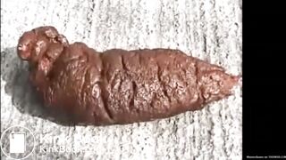 5 Minutes of Great Shits