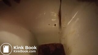 A bit more :-D noisy and gassy