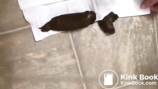 Hot girl shitting multiple times - video 2