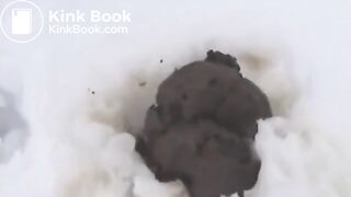 Just a poo in the snow..