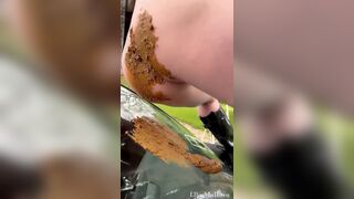 PUBLIC CAR SHIT DESTRUCTION