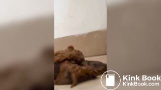 Tasty Girls Diarrhea Compilation