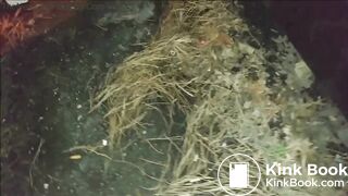 Women shitting outside