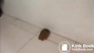 Pakistani girl shitting two times