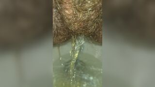 An Afternoon Piss & Poop