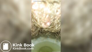 An Afternoon Piss & Poop