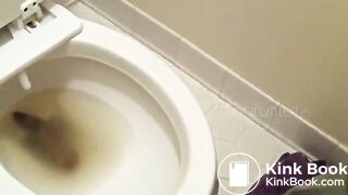 Big poo stuck in toilet clogging..