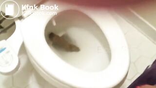 Big poo stuck in toilet clogging..