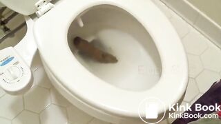 Big poo stuck in toilet clogging..