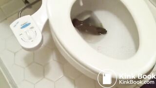 Big poo stuck in toilet clogging..