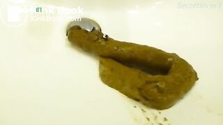 A log in the sink..