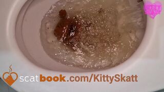 Extreme toilet clogging