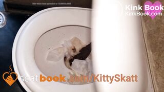 Extreme toilet clogging