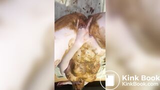 scat smearing and fingering