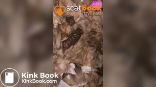 three thick nasty toilet POV shits on festival