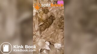 three thick nasty toilet POV shits on festival