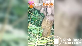 behind the campervans