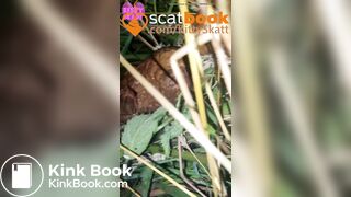 behind the campervans