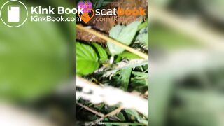 behind the campervans