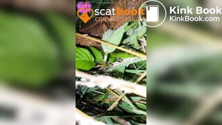 behind the campervans