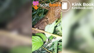 behind the campervans