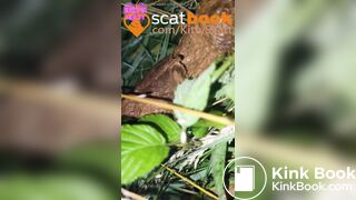 behind the campervans