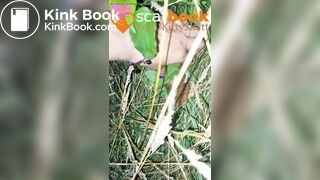 behind the campervans