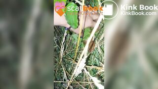 behind the campervans