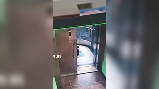 poop in elevator