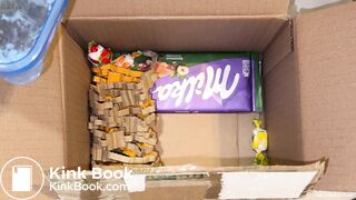 Order Nr. 29 arrived