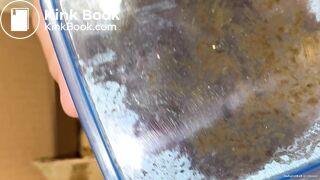 Order Nr. 29 arrived