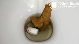 tampon poop-pt2 - the flush