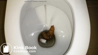tampon poop-pt2 - the flush