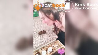 kitchen counter pooping