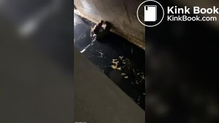 spy camera asian girl pee and shit.video_226