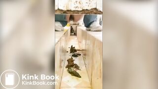 spy camera asian girl pee and shit.video_157