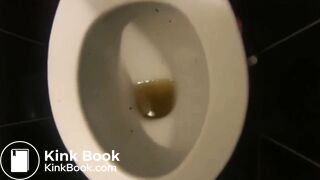 Girl shits twice on toilet - video 2