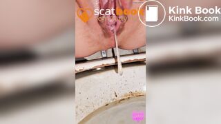 Four massive toilet pov logs