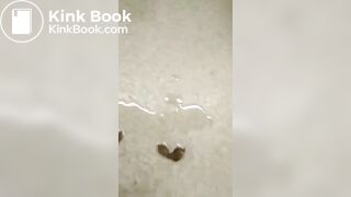 Hot girl pissing and shitting in public bathroom