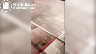 Hot woman shits in public!