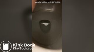 妻のうんちでタイのといれです