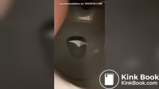 妻のうんちでタイのといれです