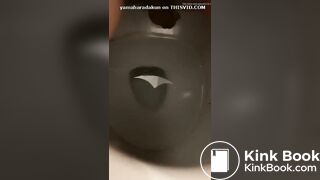 妻のうんちでタイのといれです