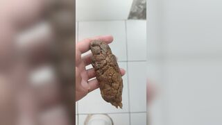 20240929 a nice round log today