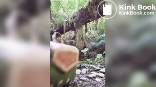 A (Small) Bear Did It