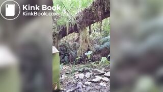 A (Small) Bear Did It